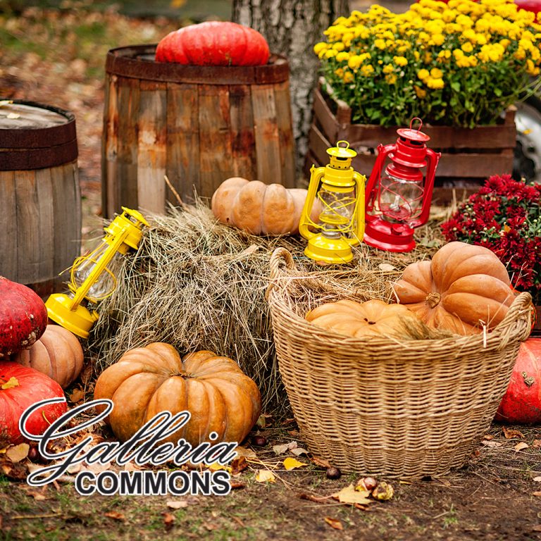 Celebrate Fall at Galleria Commons